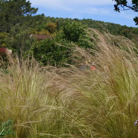 Les Jardins De Santa Giulia - Charmante Dhte بورتو فيكشْيو