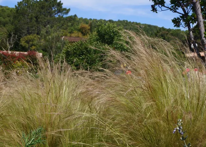 Les Jardins De Santa Giulia - Charmante Dhte بورتو فيكشْيو