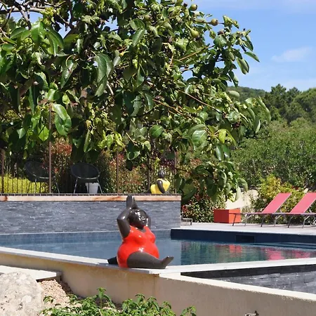 Les Jardins De Santa Giulia - Charmante Dhte Guest house