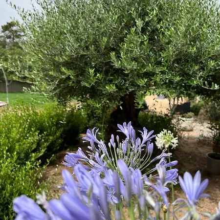 Guest house Les Jardins De Santa Giulia - Charmante Dhte Porto-Vecchio (Corsica)