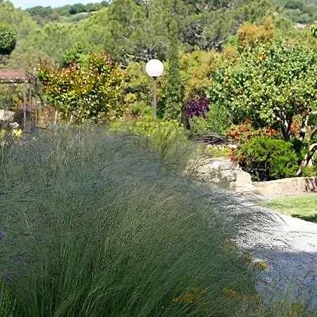 Les Jardins De Santa Giulia - Charmante Dhte Affittacamere Porto Vecchio