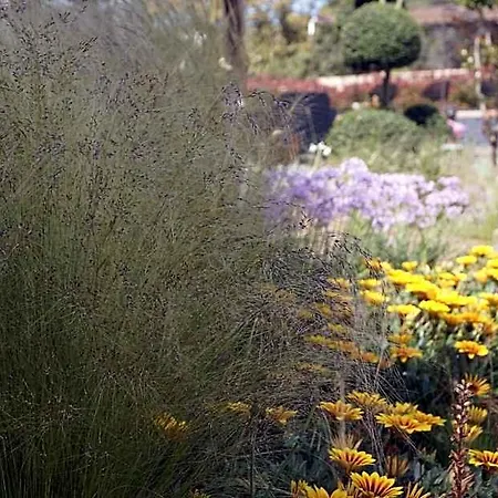 Les Jardins De Santa Giulia - Charmante Dhte Affittacamere