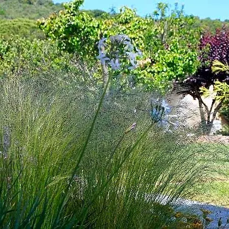 Les Jardins De Santa Giulia - Charmante Dhte Porto Vecchio