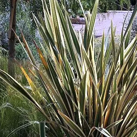 Les Jardins De Santa Giulia - Charmante Dhte Affittacamere 3*