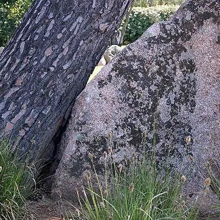 Les Jardins De Santa Giulia - Charmante Dhte 3* Porto Vecchio