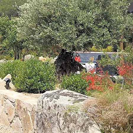 Affittacamere Les Jardins De Santa Giulia - Charmante Dhte