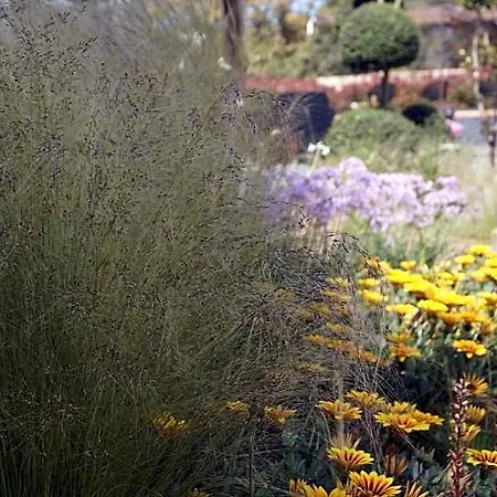 Affittacamere Les Jardins De Santa Giulia - Charmante Dhte Porto Vecchio