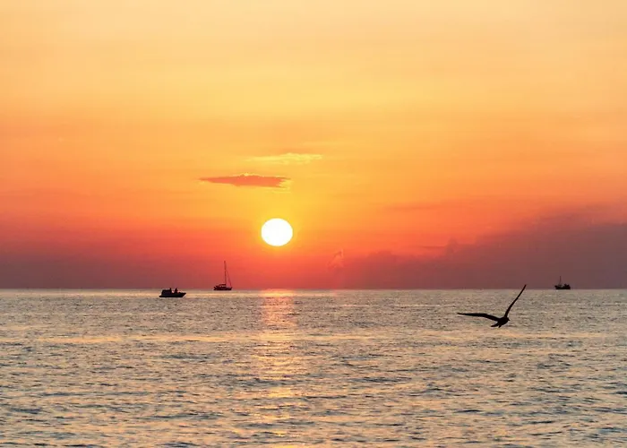 Pensionat Les Jardins De Santa Giulia - Charmante Dhte 3*